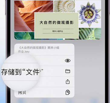 淮安apple维修中心分享iPhone文件应用中存储和找到下载文件