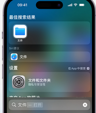 淮安apple维修中心分享iPhone文件应用中存储和找到下载文件 