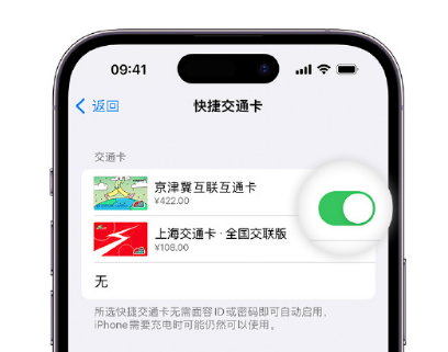 淮安apple维修点分享iPhone上更换Apple Pay快捷交通卡手绘卡面 