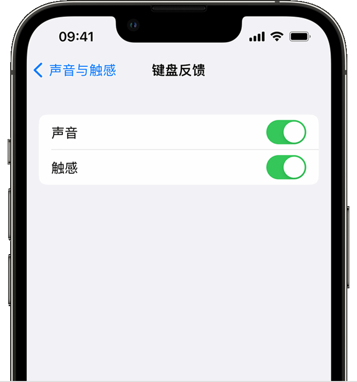 淮安苹果14维修店分享如何在 iPhone 14 机型中使用触感键盘 