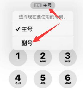 淮安苹果14维修店分享iPhone 14 Pro Max使用副卡打电话的方法 