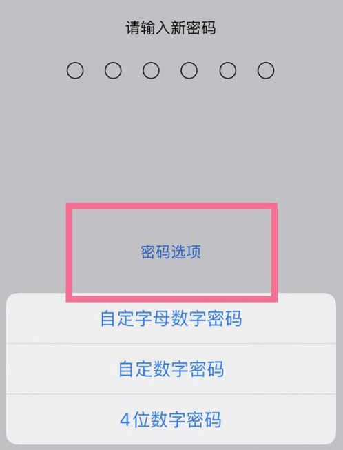 淮安苹果14维修分享iPhone 14plus设置密码的方法 