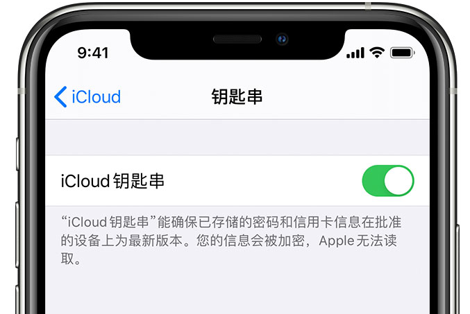 淮安苹果手机维修分享在 iPhone 上开启 iCloud 钥匙串之后会储存哪些信息 