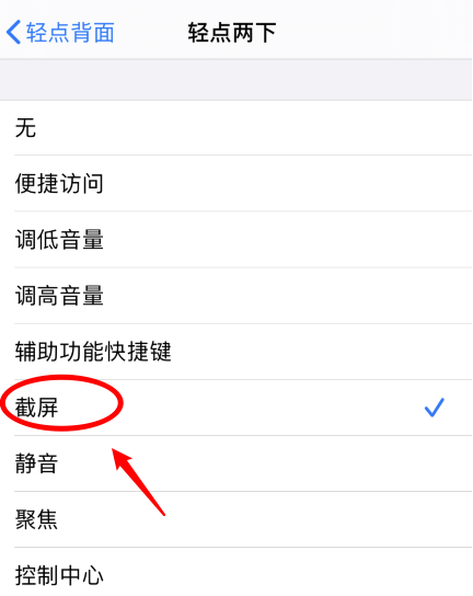 淮安苹果手机维修分享iPhone12如何启用双击截屏 